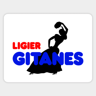 Ligier F1 Team 70's Motorsport Art Sticker